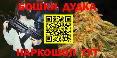 шишки Камышлов