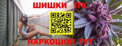 шишки Камышлов