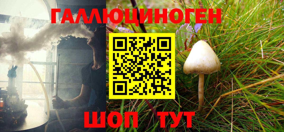 Екатеринбург  Псилоцибиновые грибы Psilocybine cubensis  Вход с VPN 