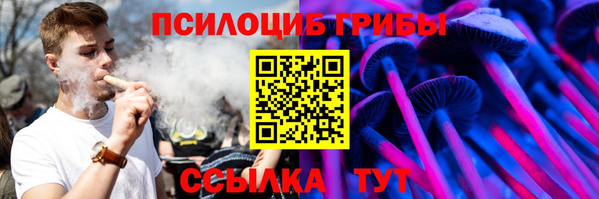 Галлюциногенные грибы Psilocybe Екатеринбург